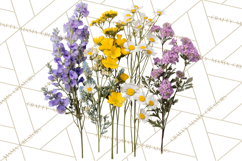 Charming Wildflower Market Floral Clipart PNG Product Image 5