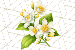 Vintage Lemon Botanical PNG Clipart, Citrus Fruit Product Image 5