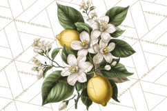 Vintage Lemon Botanical PNG Clipart, Citrus Fruit Product Image 3