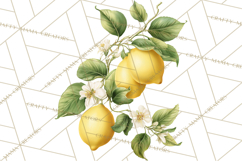 Vintage Lemon Botanical PNG Clipart, Citrus Fruit Product Image 5