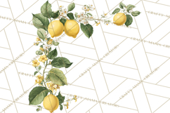 Vintage Lemon Botanical PNG Clipart, Citrus Fruit Product Image 2