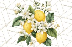 Vintage Lemon Botanical PNG Clipart, Citrus Fruit Product Image 3