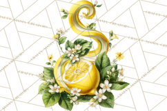 Vintage Lemon Botanical PNG Clipart, Citrus Fruit Product Image 3