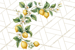 Vintage Lemon Botanical PNG Clipart, Citrus Fruit Product Image 4