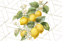 Vintage Lemon Botanical PNG Clipart, Citrus Fruit Product Image 2