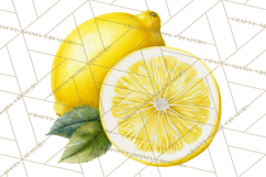 Vintage Lemon Botanical PNG Clipart, Citrus Fruit Product Image 4