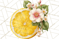 Vintage Lemon Botanical PNG Clipart, Citrus Fruit Product Image 5