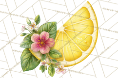 Vintage Lemon Botanical PNG Clipart, Citrus Fruit Product Image 2