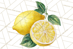 Vintage Lemon Botanical PNG Clipart, Citrus Fruit Product Image 3