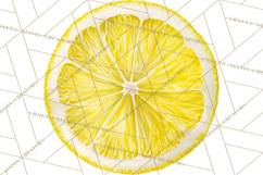 Vintage Lemon Botanical PNG Clipart, Citrus Fruit Product Image 5