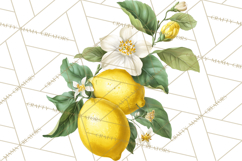 Vintage Lemon Botanical PNG Clipart, Citrus Fruit Product Image 2