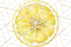 Vintage Lemon Botanical PNG Clipart, Citrus Fruit Product Image 3