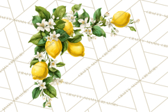 Vintage Lemon Botanical PNG Clipart, Citrus Fruit Product Image 5
