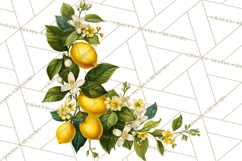 Vintage Lemon Botanical PNG Clipart, Citrus Fruit Product Image 2