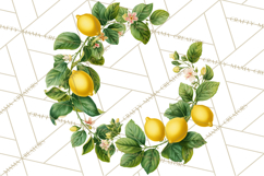 Vintage Lemon Botanical PNG Clipart, Citrus Fruit Product Image 2