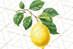Vintage Lemon Botanical PNG Clipart, Citrus Fruit Product Image 3