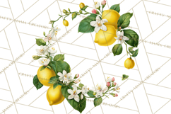 Vintage Lemon Botanical PNG Clipart, Citrus Fruit Product Image 4