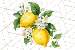 Vintage Lemon Botanical PNG Clipart, Citrus Fruit Product Image 4