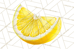 Vintage Lemon Botanical PNG Clipart, Citrus Fruit Product Image 2