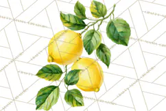 Vintage Lemon Botanical PNG Clipart, Citrus Fruit Product Image 3