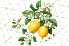 Vintage Lemon Botanical PNG Clipart, Citrus Fruit Product Image 4