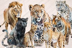 Wild Cats Watercolor Bundle - 23 Graphics PNG Product Image 3