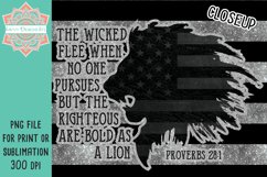 Lion Proverbs 28 1 Straight &amp; Tapered Patriotic Skinny Tumbler For Sublimation