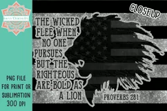 Lion Proverbs 28 1 Straight & Tapered Patriotic Skinny Tumbler For Sublimation