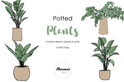 Potted Plant Illustrations Product Image 1