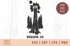 Sequoia CA SVG cut file - Retro national park SVG Product Image 1