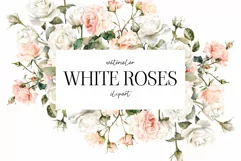 Watercolor White Roses Clipart - Watercolor Floral clipart Product Image 1