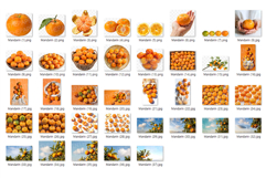 Mandarin Photo | citrus fruit photography orange tangerine Product Image 10
