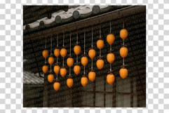 Persimmon Photo | fresh fruit photography ripe sweet harvest Product Image 10