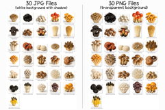 Single Mushroom Photo | wild fungi species edible forest png Product Image 12