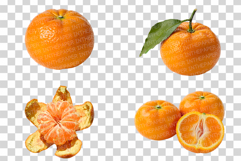 Mandarin Photo | citrus fruit photography orange tangerine Product Image 2