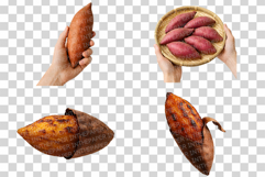 Sweet Potato Photo | fresh root vegetable food photography Product Image 3