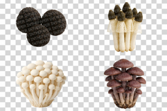 Single Mushroom Photo | wild fungi species edible forest png Product Image 3