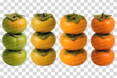Persimmon Photo | fresh fruit photography ripe sweet harvest Product Image 5
