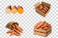 Sweet Potato Photo | fresh root vegetable food photography Product Image 6