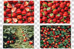 Strawberry Photo | fresh fruit photography ripe red natural Product Image 8