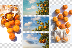Mandarin Photo | citrus fruit photography orange tangerine Product Image 9