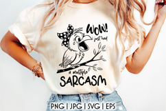 Sarcastic Bird SVG, Funny Bird Cut File, Sarcasm Saying PNG Product Image 1