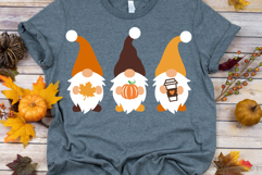 Fall Gnomes SVG, DXF, PNG, EPS Product Image 2
