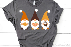 Fall Gnomes SVG, DXF, PNG, EPS Product Image 3