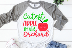 Cutest Apple in the Orchard SVG, DXF, PNG, EPS Product Image 2