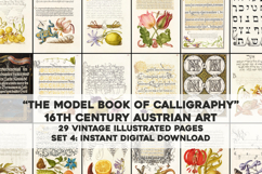Set 4 Antique Calligraphy Design Book - 29 Unique Prints Product Image 1