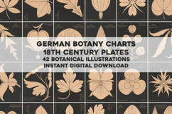 Minimalist German Botanical Restored Images Bundle Product Image 1