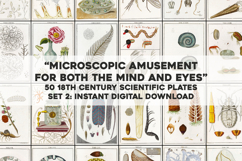 50 Microscope Study Images- Vintage Science Book Pages SET 2 Product Image 1