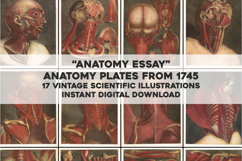Vintage Anatomy Illustrations Images Bundle Product Image 1