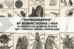 19 Vintage Historic Scientific Nature Plates Set 1 Product Image 1